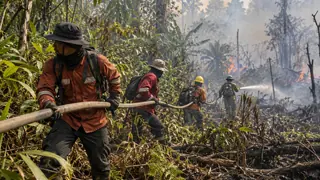 Prabowo Prioritaskan Pemadaman Karhutla di Tanjung Puting