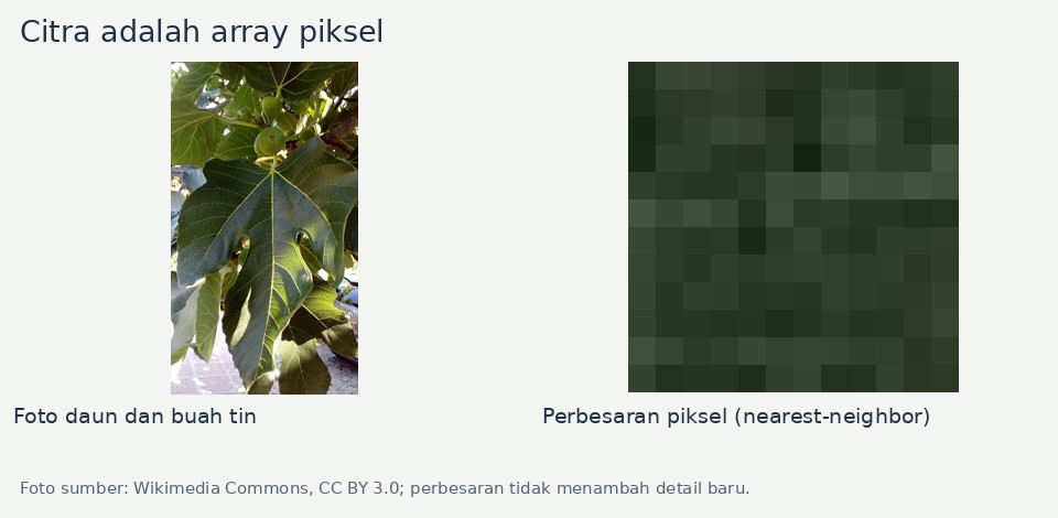 Foto sumber: Wikimedia Commons, CC BY 3.0; perbesaran tidak menambah detail baru.
