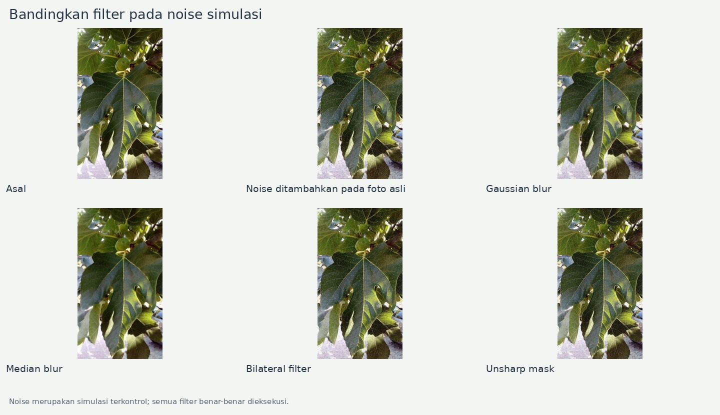Noise merupakan simulasi terkontrol; semua filter benar-benar dieksekusi.