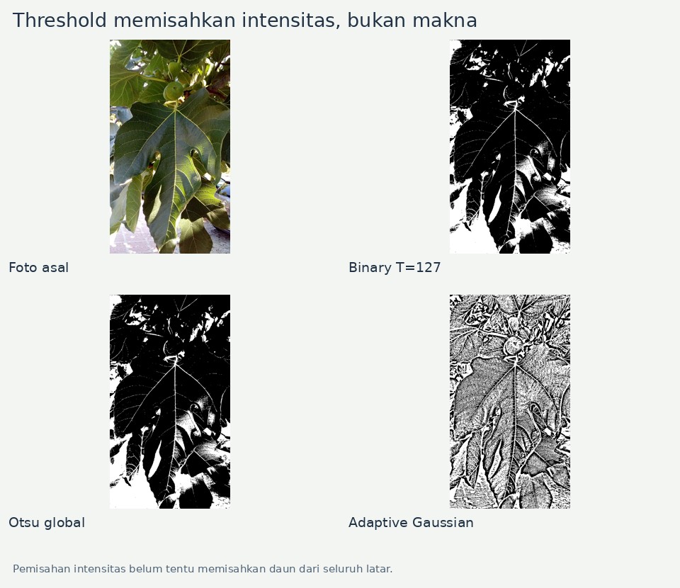 Pemisahan intensitas belum tentu memisahkan daun dari seluruh latar.