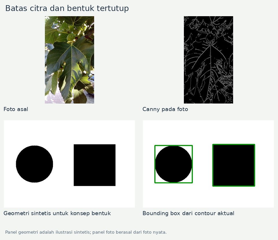 Panel geometri adalah ilustrasi sintetis; panel foto berasal dari foto nyata.